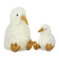 Kiwi Collectible