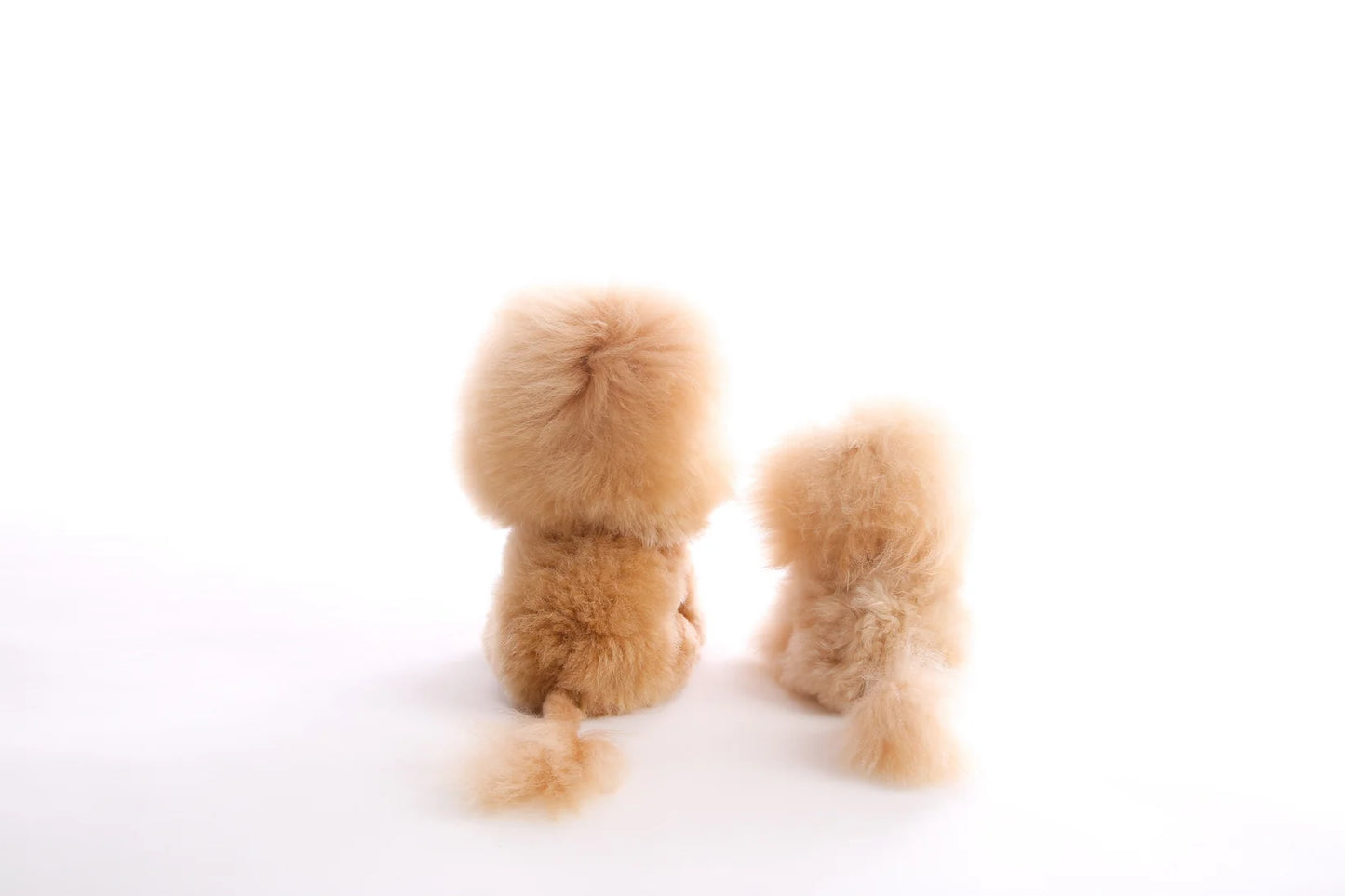 Lion Collectible